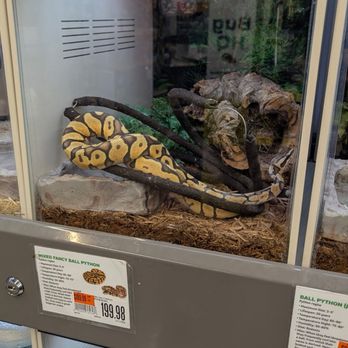 Pet Supplies Plus Ames - Snake - Pet Groomers Near Me - Ames, Iowa