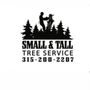 Small & Tall Tree Service