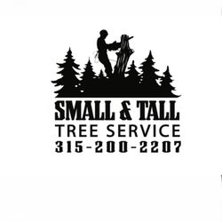 Small & Tall Tree Service