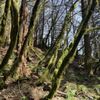 Rattlesnake Ridge gift card