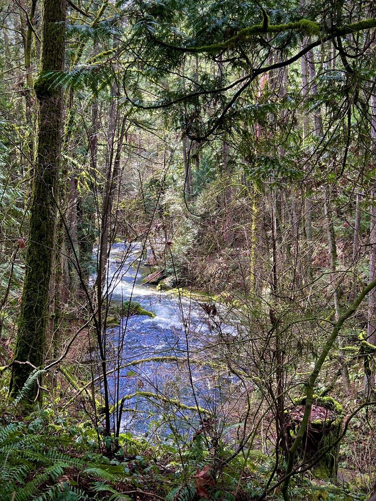Whatcom Falls Park Image