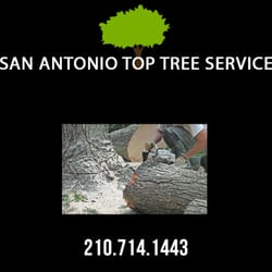San Antonio Top Tree Service - Commercial Tree Stump Removal