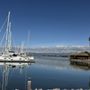 Photo of Emery Cove Marina