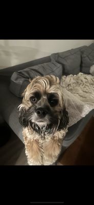 Tubby’s - It’s just a bar. by null