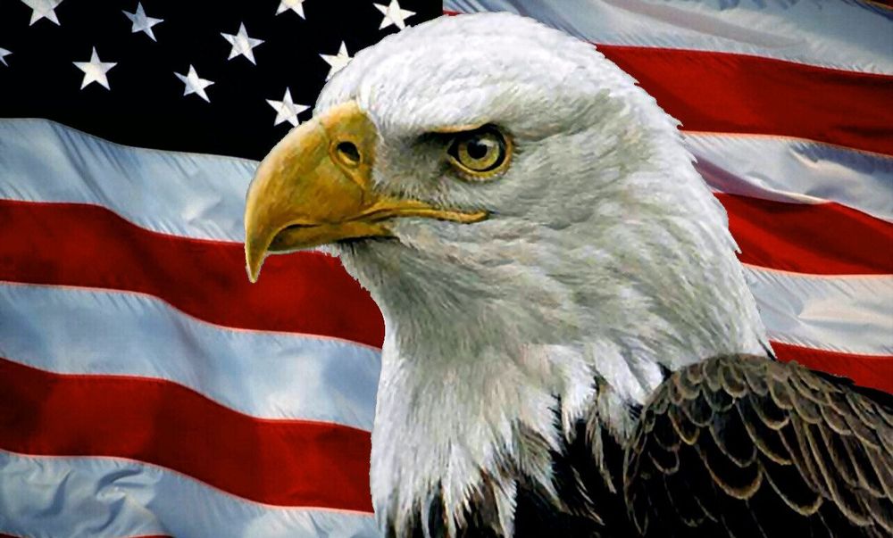 Veterans Outreach Coalition - veterans service organization in Independence, MO