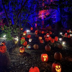 Harvest Nights at Newfields - Harvest Nights