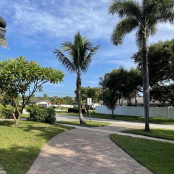 ECO Tree Experts - Street area - Tree Services Near Me - West Palm Beach, Florida ECO Tree Experts - Street area - Tree Services Near Me - West Palm Beach, Florida