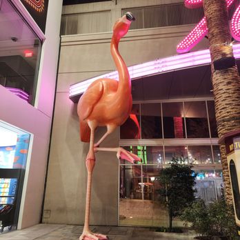 Flamingo Las Vegas - Hotels Near Me - Las Vegas, Nevada Flamingo Las Vegas - Hotels Near Me - Las Vegas, Nevada