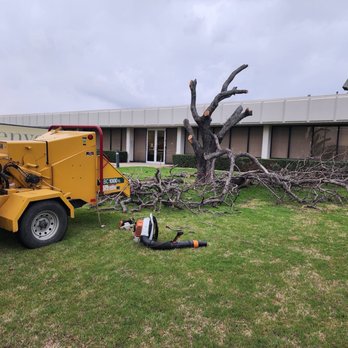 Quality Tree Service - Tree removal - Tree Services Near Me - Denton, Texas