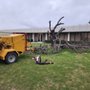 Photo of Quality Tree Service