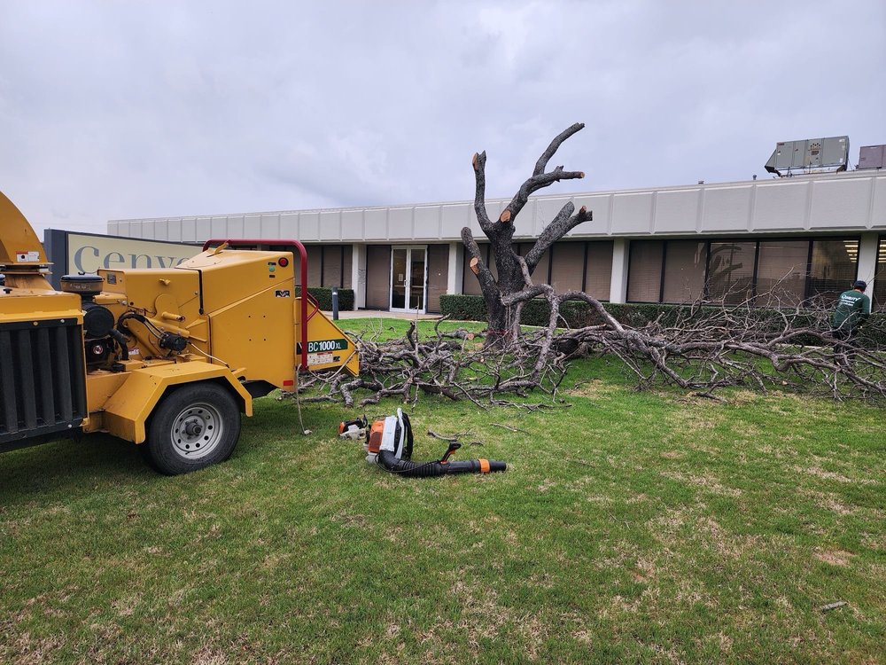 Quality Tree Service - tree service in Denton, TX