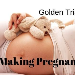 Golden Triangle Prenatal Massage