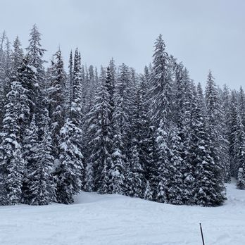 Old Faithful Snowmobile Tours - Such beautiful scenery! - Tours Near Me - Jackson, Wyoming