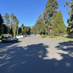 Christchurch Botanic Gardens - Parking