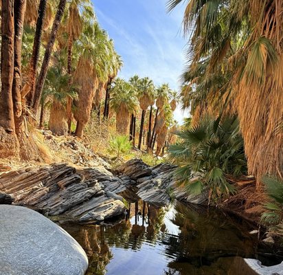 Indian Canyons by null