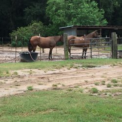 Rayford Crossing RV Resort - Q