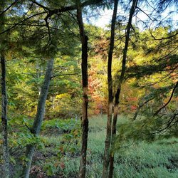 Scarborough River Wildlife Sanctuary