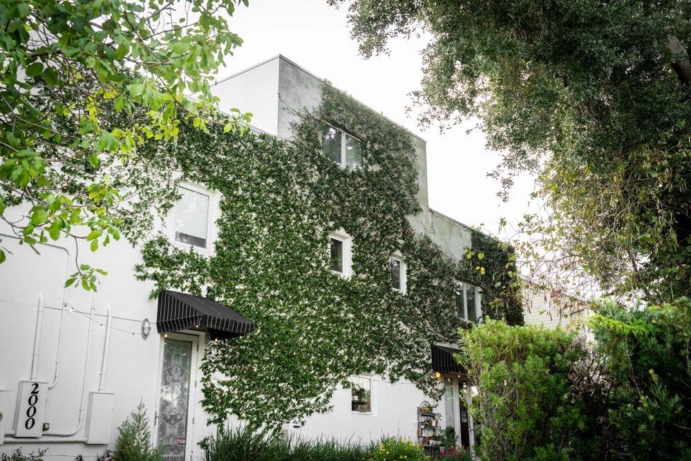 Timucua Arts Foundation Logo