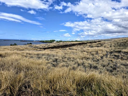 Puʻukoholā Heiau National Historic Site by null