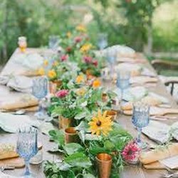 Outdoor Weddings!