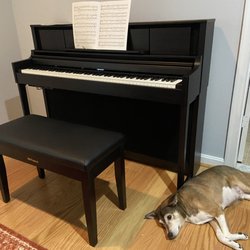 Jordan Kitt's Music - Roland LX 705 in Dark Rosewood. My dog isn't as excited.