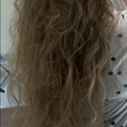 Debbie's Images - Before