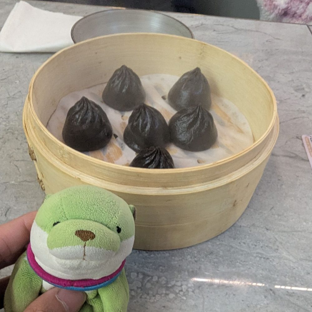 Supreme Dumplings - Chocolate xiao long bao - Shanghainese Near Me - Bellevue, Washington Supreme Dumplings - Chocolate xiao long bao - Shanghainese Near Me - Bellevue, Washington
