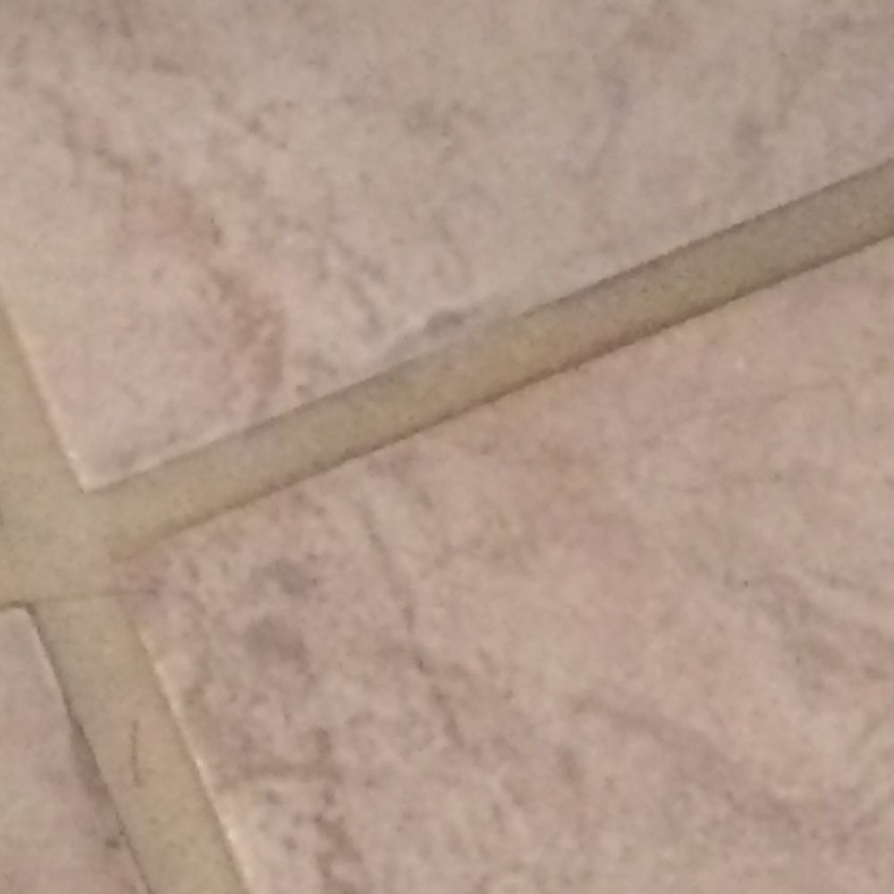 Stanley Steemer - After cleaning, grout remained discolored. - Carpet Cleaning Near Me - Azusa, California Stanley Steemer - After cleaning, grout remained discolored. - Carpet Cleaning Near Me - Azusa, California