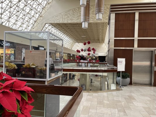 The Shops at Chestnut Hill by null