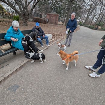 Juniper Valley Park - Lovely friends!! - Parks Near Me - Middle Village, New York