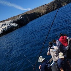 Channel Islands Sportfishing Center - It was a great day fishing on the beautiful Channel Islands