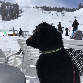 Sierra Sunsets - Pet Cremation Services Near Me - Bishop, California Sierra Sunsets - Pet Cremation Services Near Me - Bishop, California