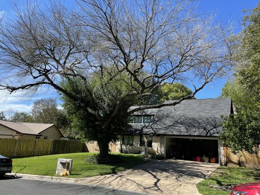 Landscaping - Landscaping Landscaping - Landscaping