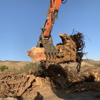 Yuma Desert Contractors - Root Extraction - Tree Services Near Me Yuma Desert Contractors - Root Extraction - Tree Services Near Me