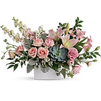 The Posy Shop - This is the arrangement shown on their website that I ordered - Florists Near Me - Anderson, Indiana The Posy Shop - This is the arrangement shown on their website that I ordered - Florists Near Me - Anderson, Indiana