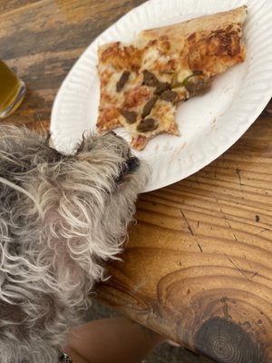 Pizza Port Ocean Beach by null