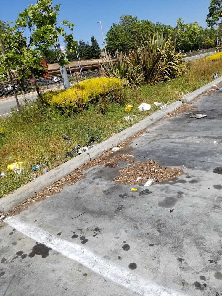 AUTOZONE AUTO PARTS Updated September 2024 44 Reviews 34529