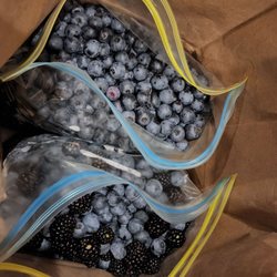 Fruit of The Vine - Results