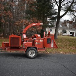 Mike & Mike's Tree Service