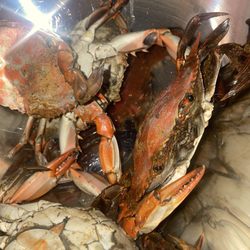 Blue Point Crab House - $2 smalls