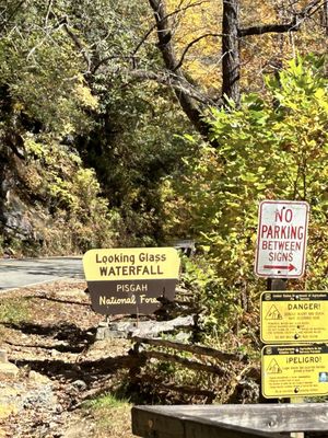 Looking Glass Falls by null