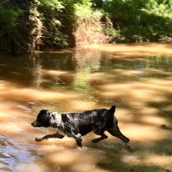 Olde Izaak Walton Park - A great little cool off spot