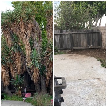 MTS Landscape - Landscaping Near Me - Moreno Valley, California MTS Landscape - Landscaping Near Me - Moreno Valley, California