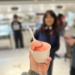 Leoné Café - Watermelon gelato