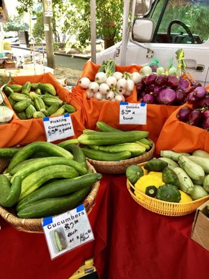 Lake City Farmers Market by null