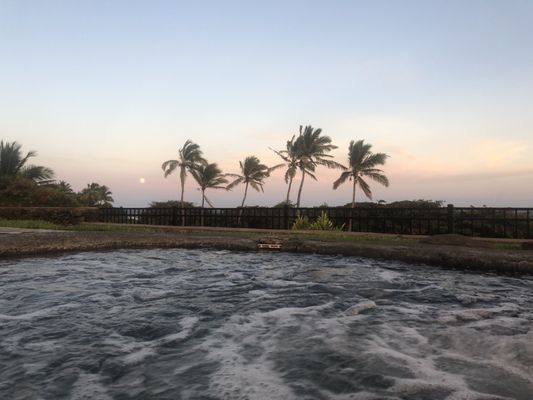 Various - Aloha'N'Irie: Hawaii Untouched Riddim - Amazon.com