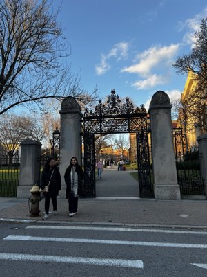 Brown University by null