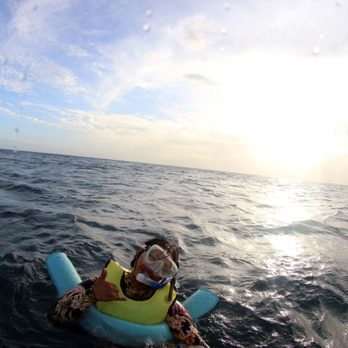 Ocean Joy Cruises - Tours Near Me - Kapolei, Hawaii Ocean Joy Cruises - Tours Near Me - Kapolei, Hawaii