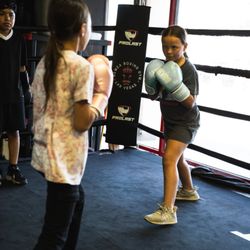 Nemea Boxing Gym