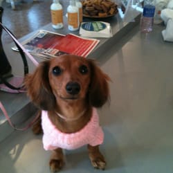 Johnny's Barkin' Bakery - Happy customer at Johnny's Barkin' Bakery